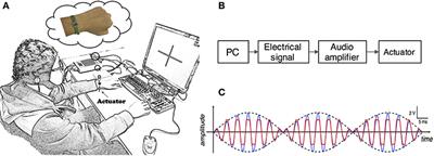 Enhanced Motor Imagery-Based BCI Performance via Tactile Stimulation on Unilateral Hand